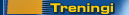 Treningi