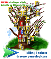 zobacz wicej