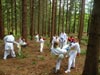 powiększ