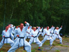 powiększ
