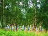 powiększ