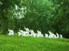 powiększ