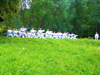 powiększ