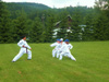 powiększ