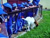 powiększ