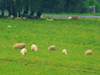 powiększ