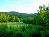 powiększ