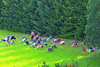 powiększ