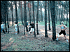 powiększ